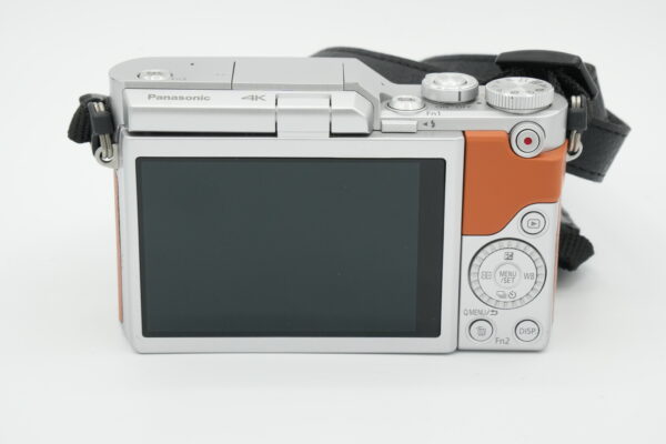 Panasonic Lumix DC-GX800 + 12-32mm