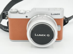 Panasonic Lumix DC-GX800 + 12-32mm