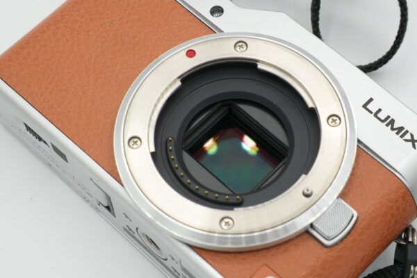Panasonic Lumix DC-GX800 + 12-32mm