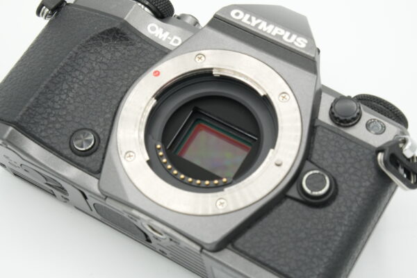 DSC07445 Olympus OM-D E-M5 Mark II (Limited Edition)