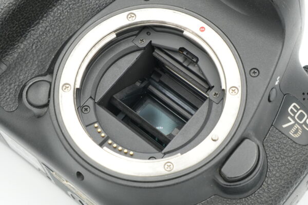 DSC07505 Canon EOS 7D Mark II