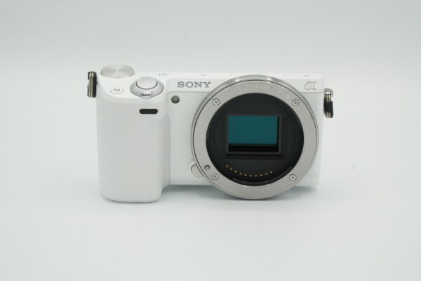 DSC07547 Sony NEX-5R + salama