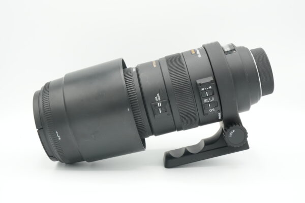 DSC07610 Sigma 150-500mm f5-6.3 DG APO OS HSM
