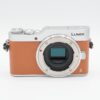 1e866d51cc9d40bfb99770f970fbd58d Panasonic Lumix DC-GX800