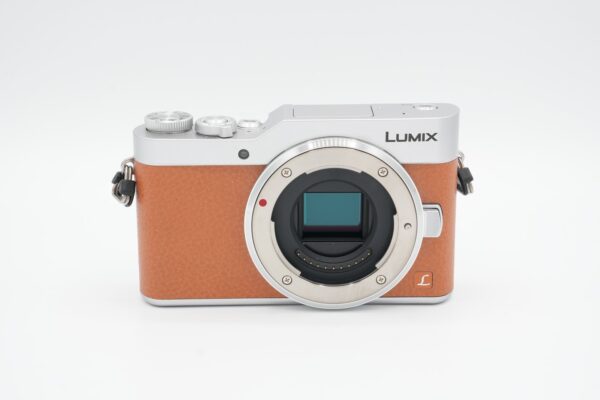 1e866d51cc9d40bfb99770f970fbd58d Panasonic Lumix DC-GX800