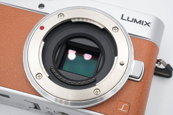 8c2c0ea6acc847e29c41ea4652537c15 Panasonic Lumix DC-GX800